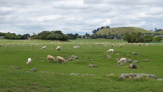 Ambury Regional Park